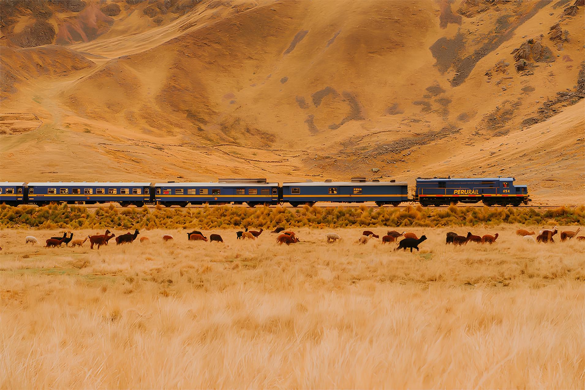 train
