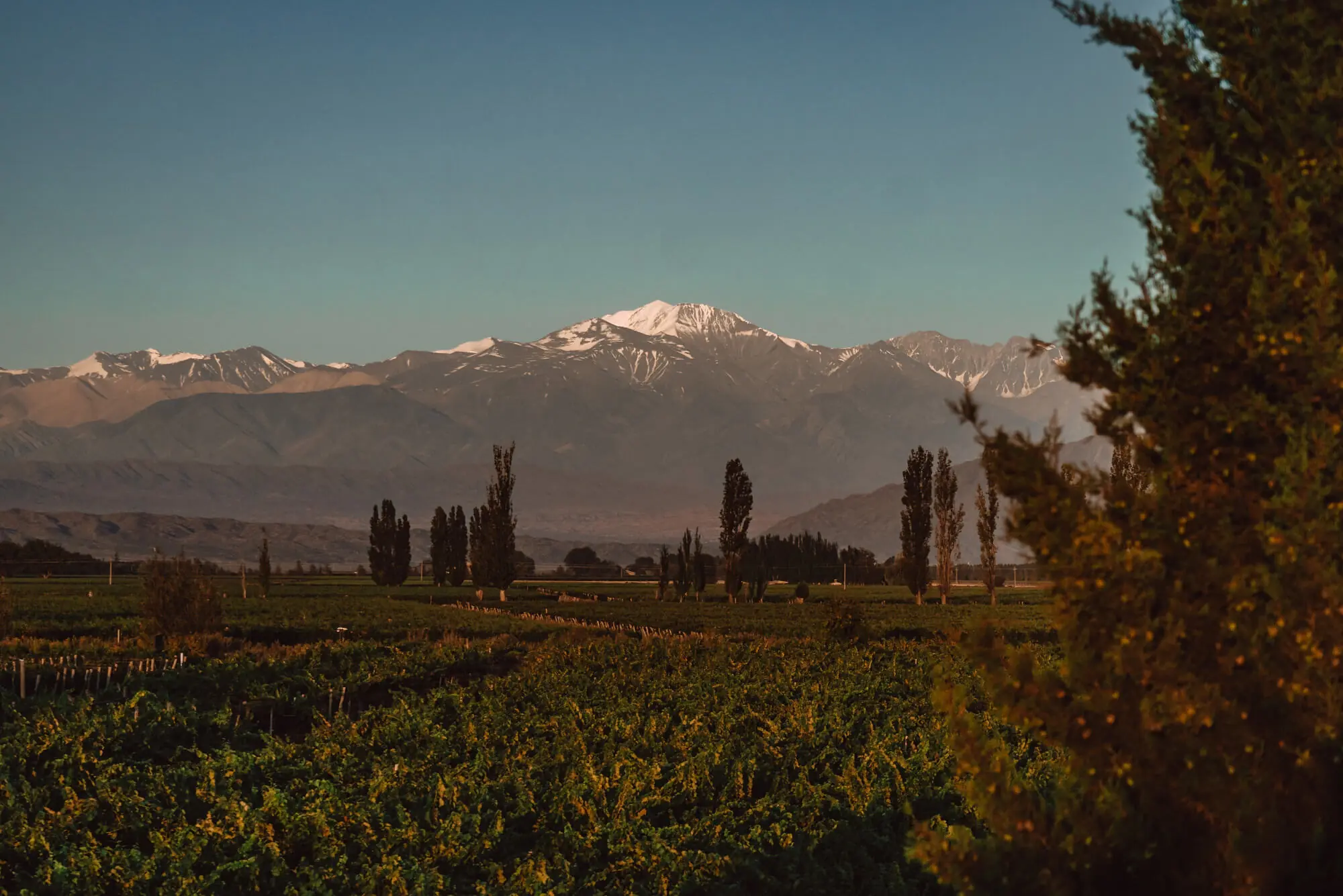 Argentina Awasi Mendoza
