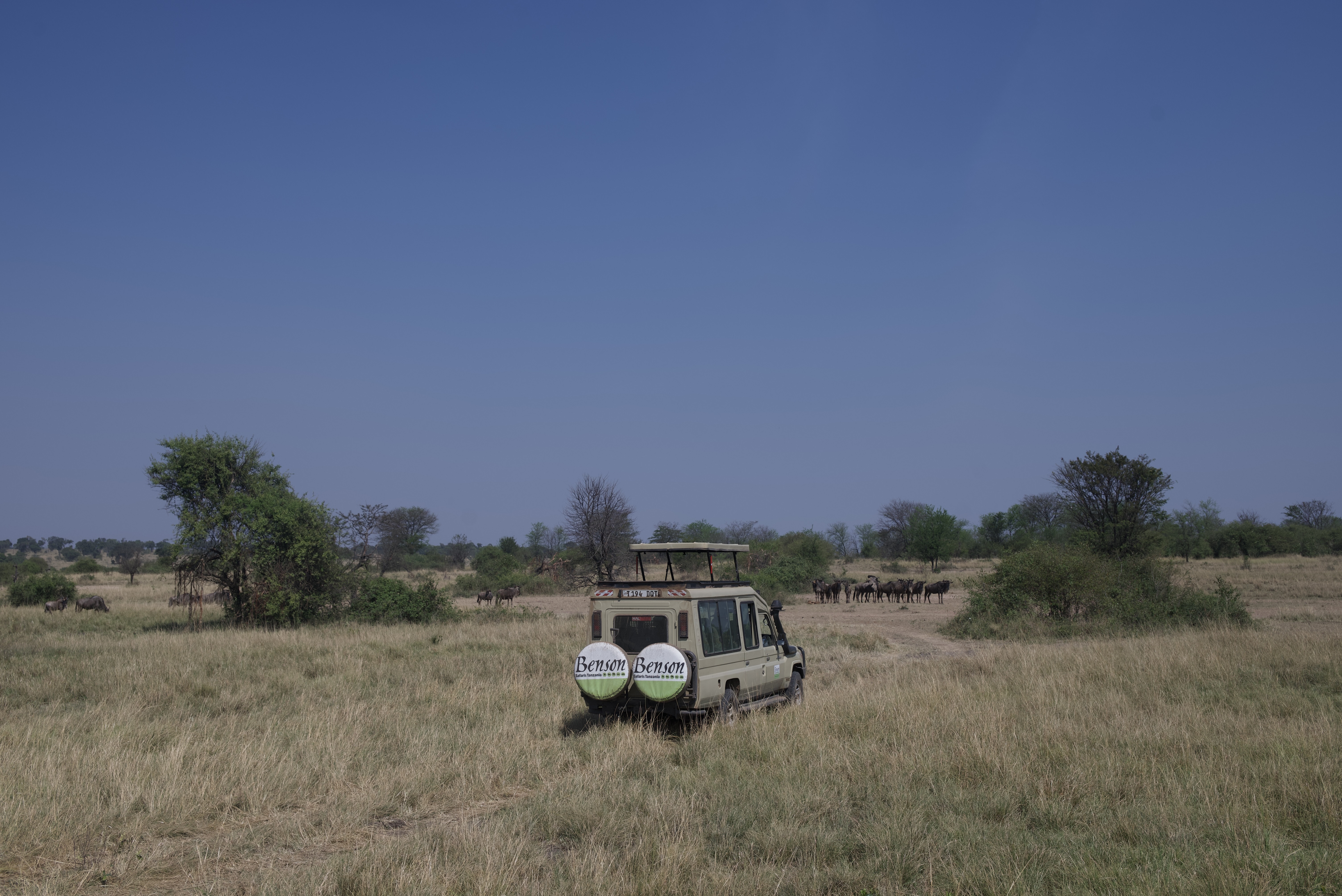 tanzania