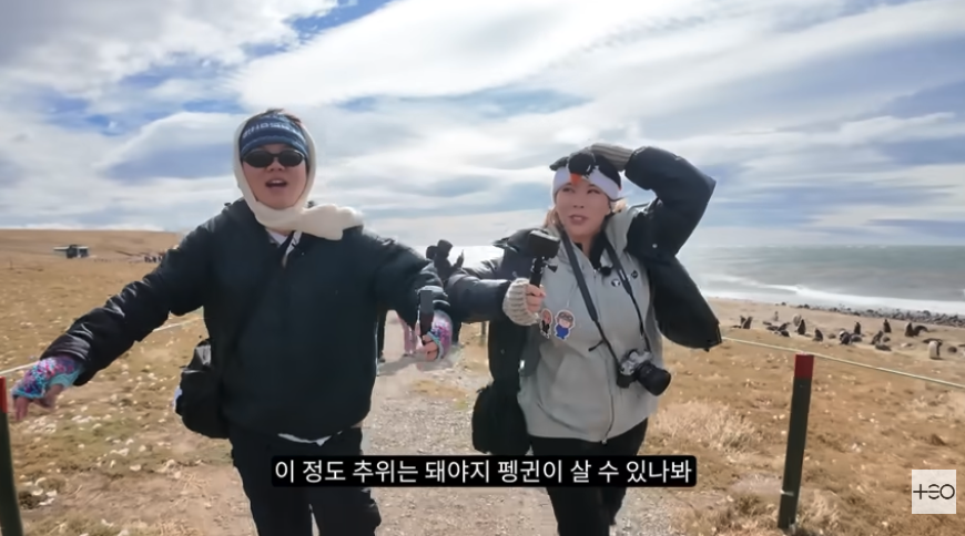 Penguin Tour