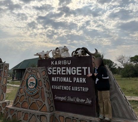 serengeti