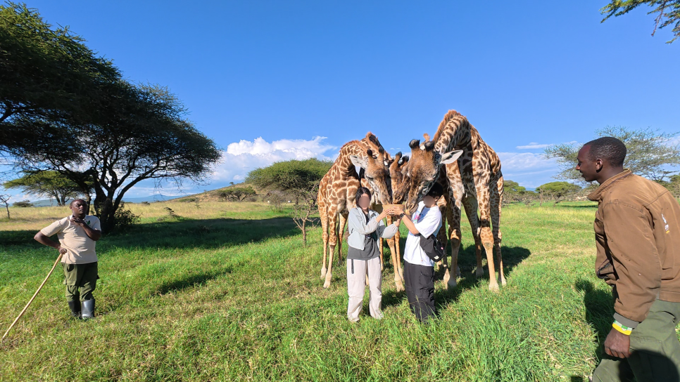 tanzania