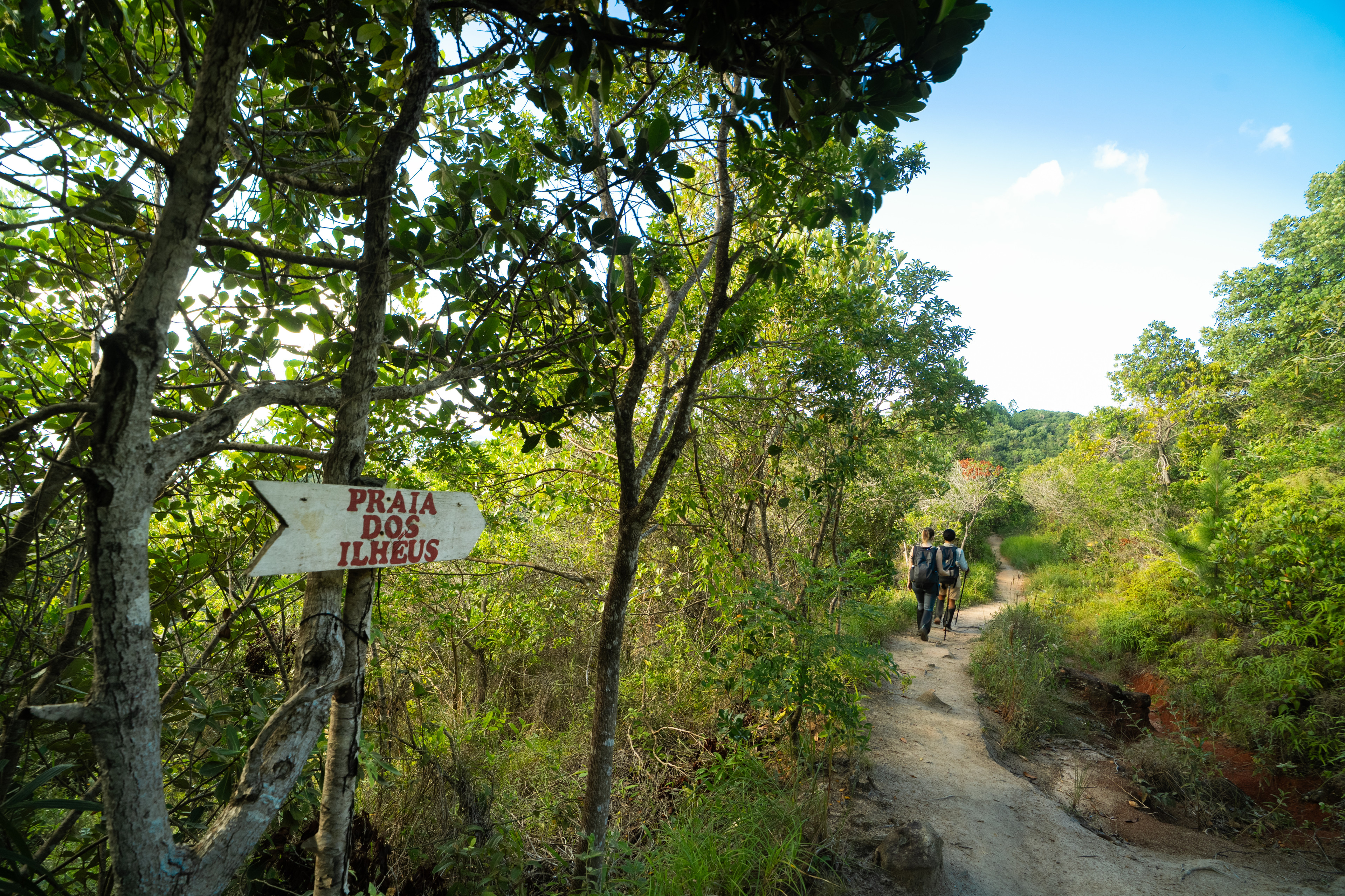 hiking