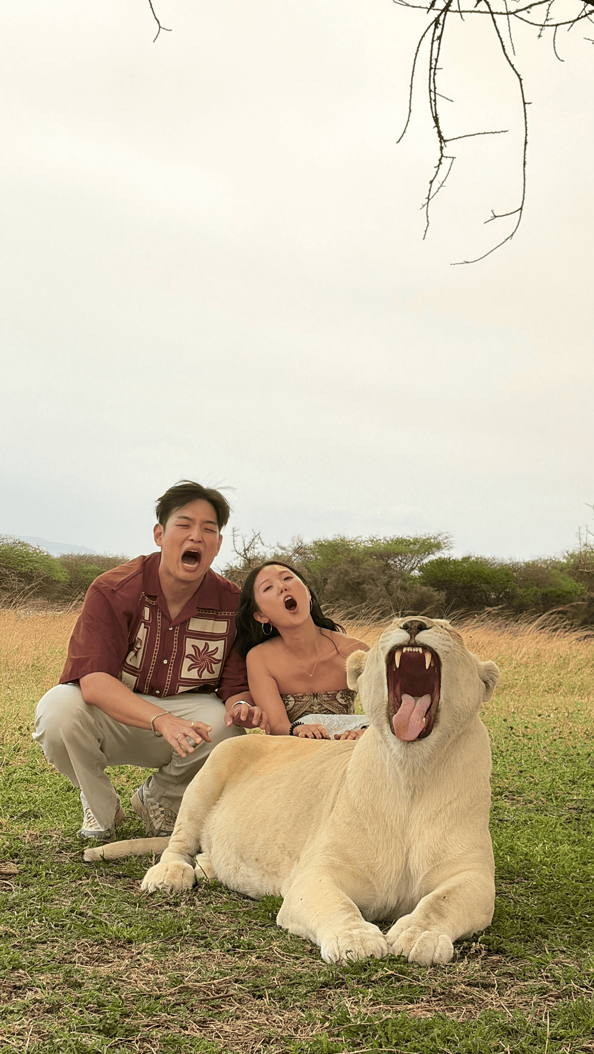 serengeti