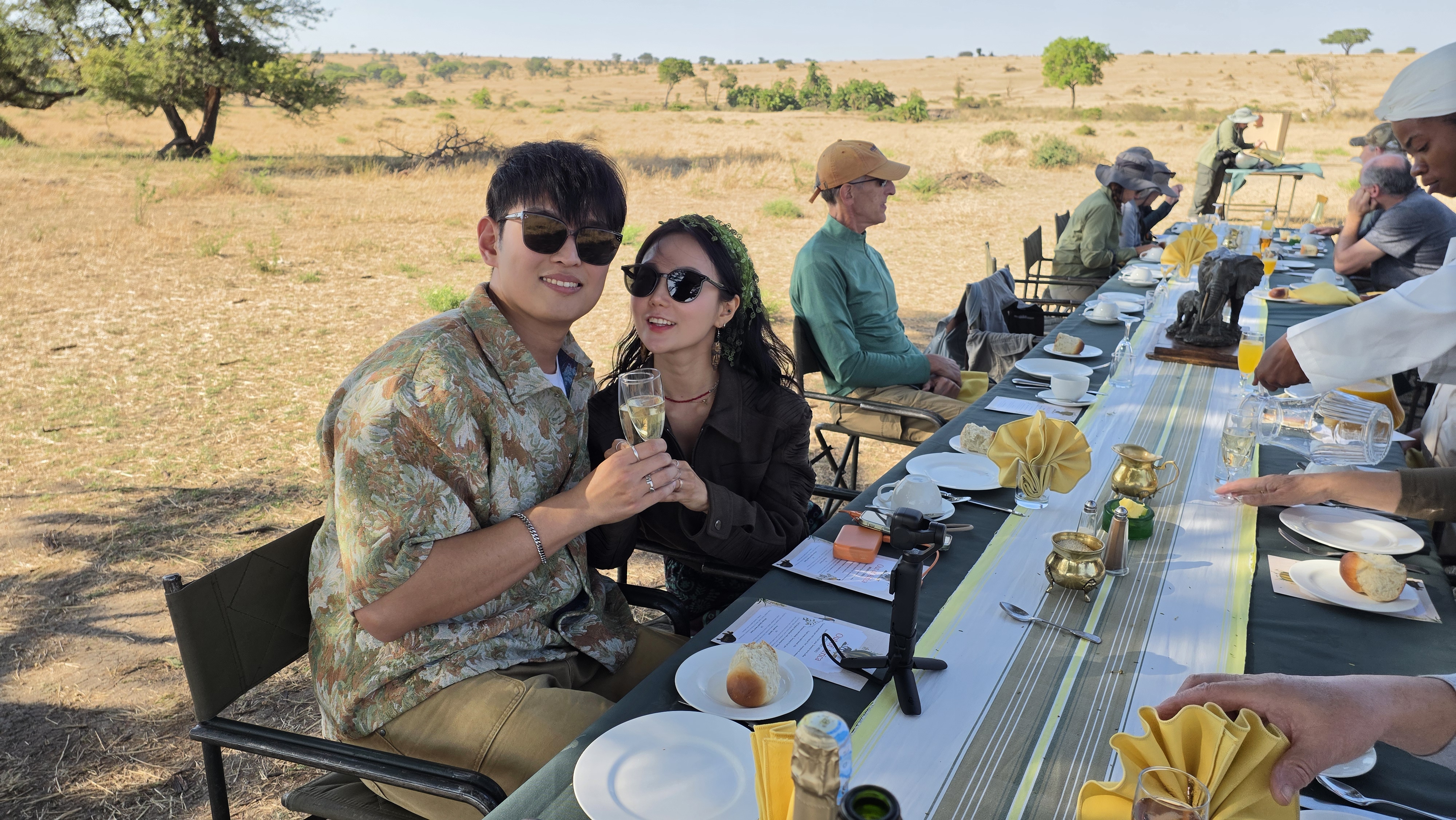 safari