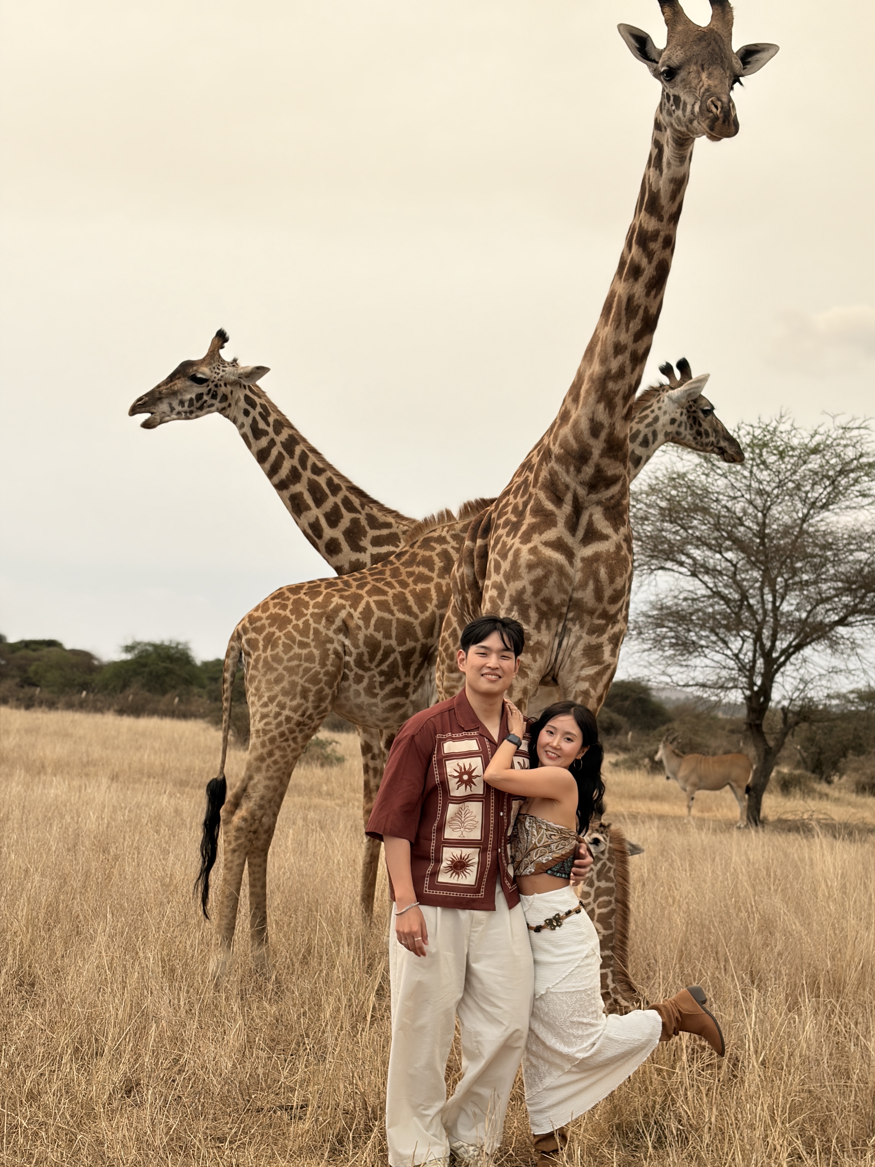 serengeti