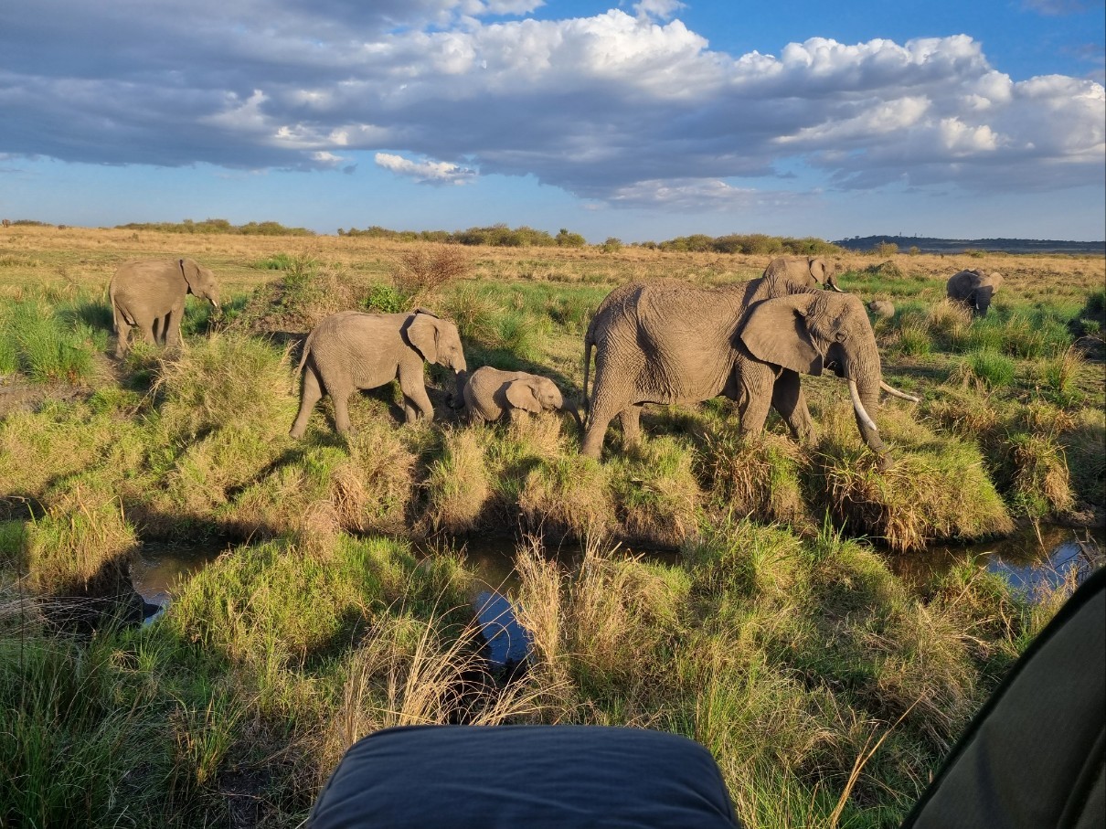 kenya