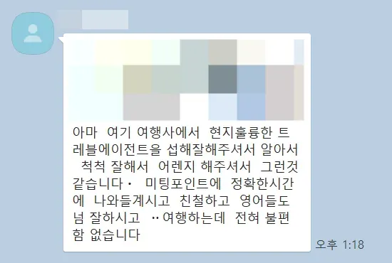 속이 꽉 찬 아프리카 여행 일정! 남아공 케이프타운, 초베 국립공원, 빅토리아폭포,케냐, 탄자니아, 잔지바르 여행 40대 고객님 실시간 후기