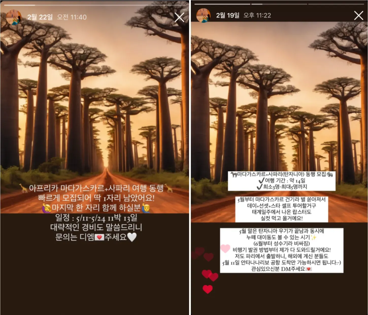 여행 크리에이터가 들려주는 아프리카 여행 이야기 (나미비아, 빅토리아 폭포, 보츠와나, 탄자니아)