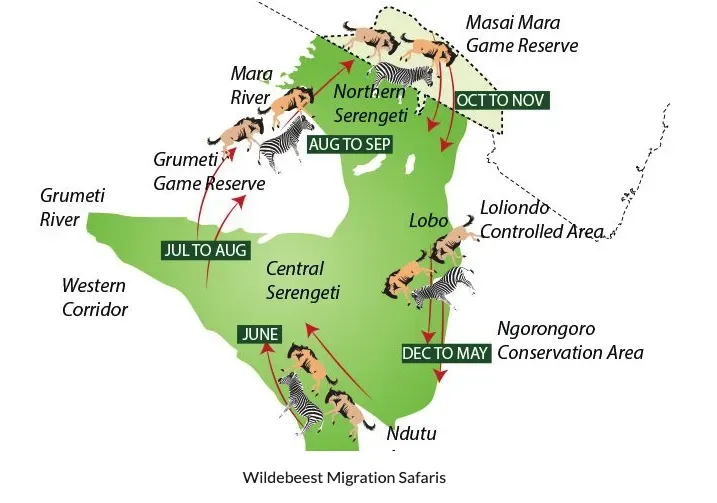 누떼 대이동 지도 "Wildbeest Migration Map"
