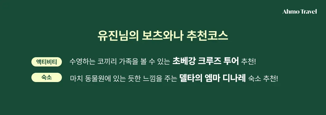 [유진 신부님 후기 2편] 5월 아프리카 세이셸 신혼여행 / 보츠와나 액티비티 숙소 추천