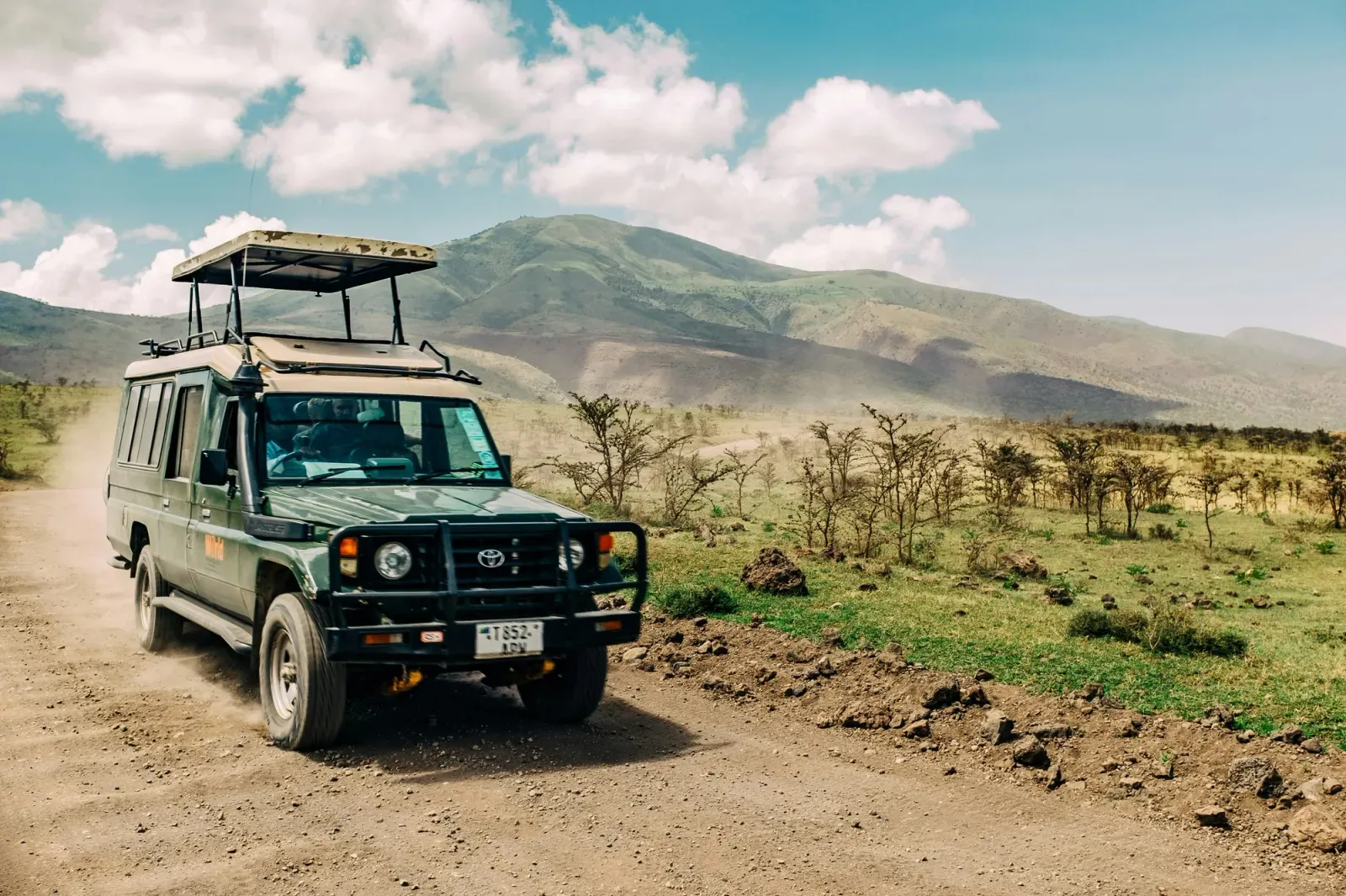 game drive